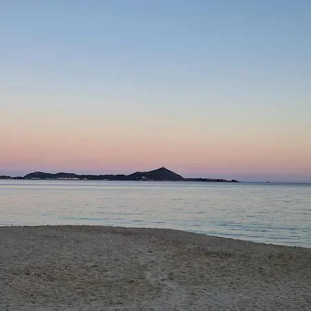 Dei Pirati, Sulla Di Campus *