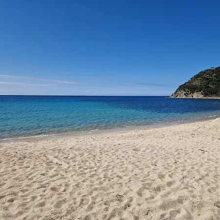 Dei Pirati, Sulla Di Campus